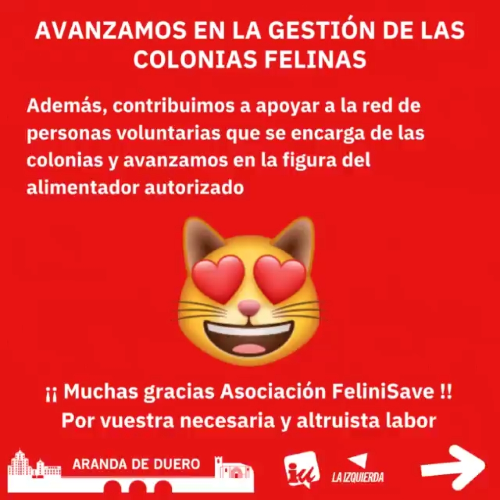 AVANZAMOS EN LA GESTIÓN DE LAS COLONIAS FELINAS