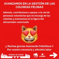 AYUDA PARA FELINI SAVE