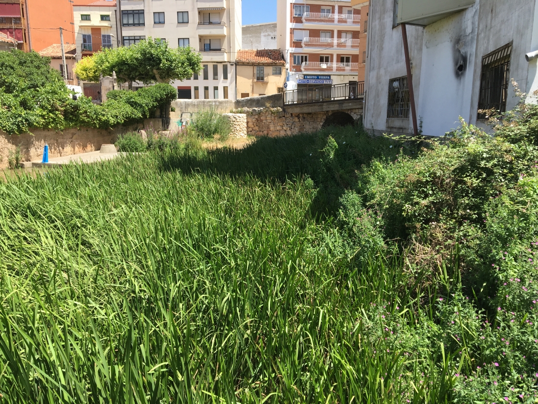 El grupo municipal de Izquierda Unida denuncia el estado de abandono de las riberas de los ríos en los tramos urbanos que recorren el municipio.