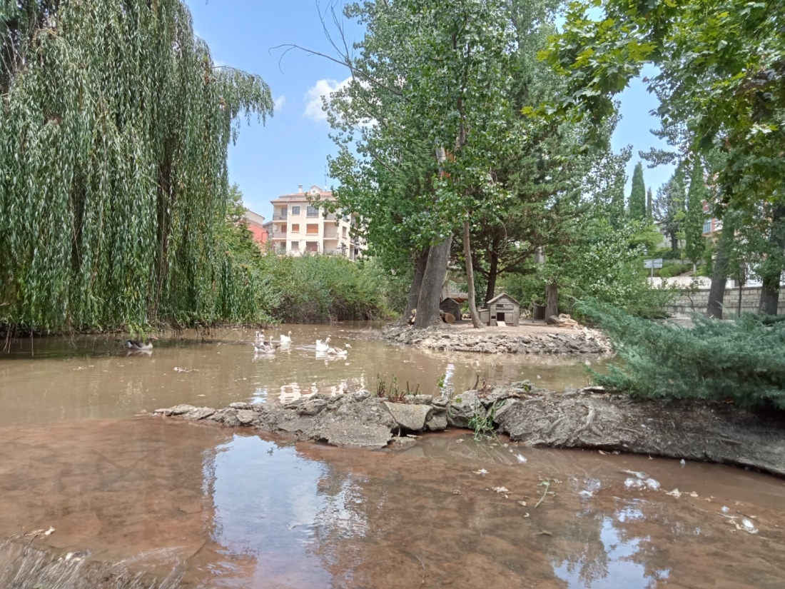 ACTUACIÓN EN LA PRESA DEL RÍO BAÑUELOS