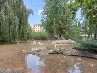 ACTUACIÓN EN LA PRESA DEL RÍO BAÑUELOS
