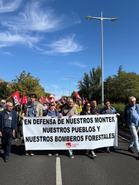 DERECHOS LABORALES DEL PERSONAL FORESTAL