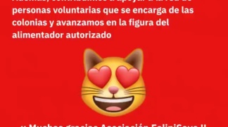 AYUDA PARA FELINI SAVE