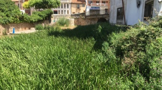 El grupo municipal de Izquierda Unida denuncia el estado de abandono de las riberas de los ríos en los tramos urbanos que recorren el municipio.