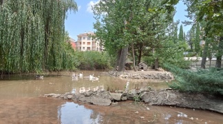 ACTUACIÓN EN LA PRESA DEL RÍO BAÑUELOS