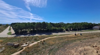 Sentir Aranda reconoce que había una consulta pactada sobre el Parque General Gutiérrez, pero que no tienen intención de realizarla