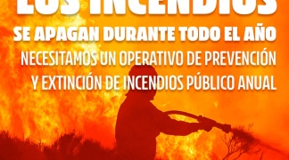 IU denuncia la precariedad en prevención y extinción de incendios forestales en CyL